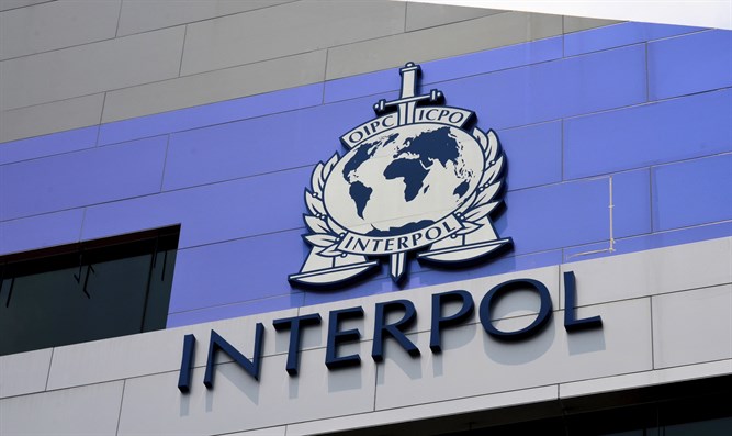 Interpol Affairs